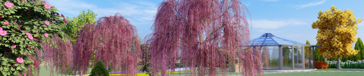 Наши услуги